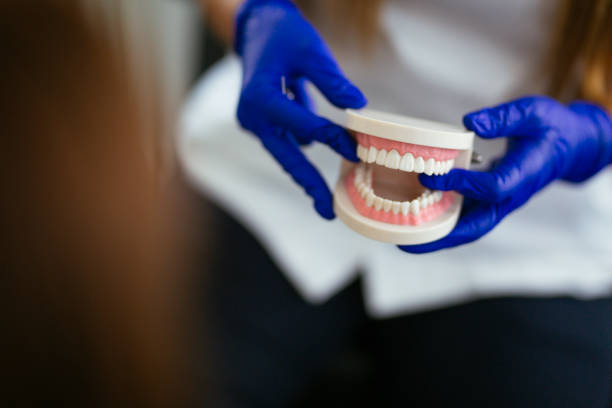 Best Dental Exams and Cleanings  in Bannockburn, IL