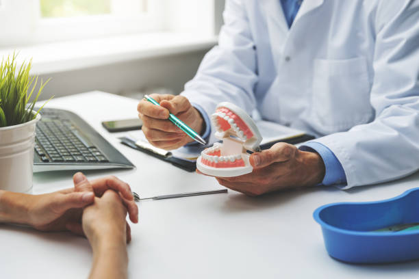 Bannockburn, IL Holistic Dental Care Services Pros